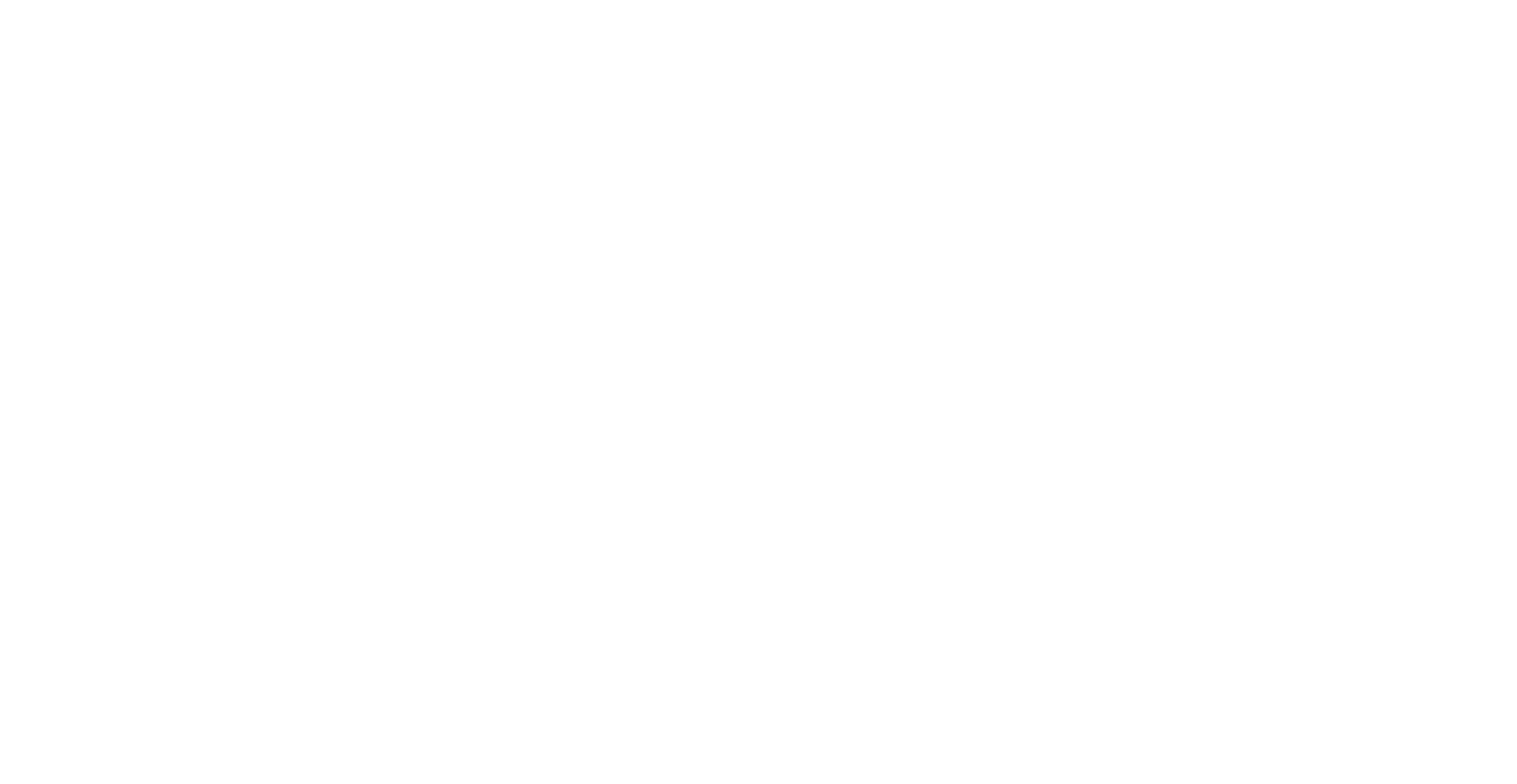 Burns Holding Corp