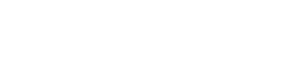 Burns Holdings